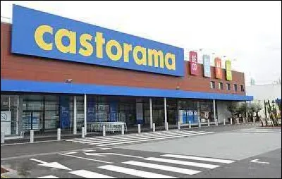 L'enseigne Castorama a-t-elle été créée dans les années 80 ?