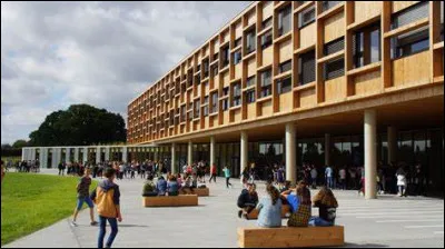 Comment te décrirais-tu à l'école, au collège, au lycée ?