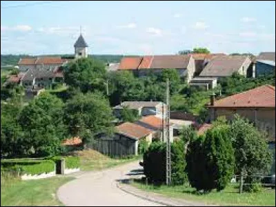 Pour finir, je vous emmène dans le Grand-Est, à Saint-Genest. Village de la Communauté de communes de la région de Rambervillers, il se situe dans le département ...