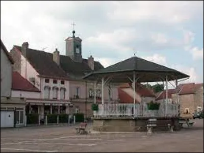 Village du Grand-Est, dans l'arrondissement de Langres, Fayl-Billot se situe dans le département ...