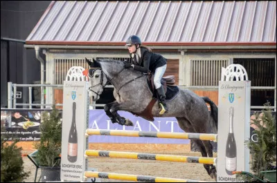 Quelle hauteur est égale à une poney/club 1 ?