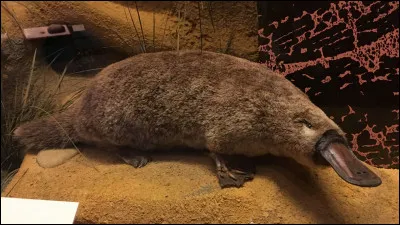 Cette liste est la dernière. Il y a un dernier intrus à trouver, et cest