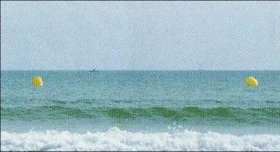 Que peuvent indiquer ces boues ?