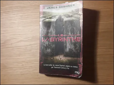 Dans le 1er film qui est le premier personnage que l'ont voit ?