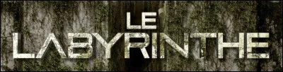 Où a été tourné Le Labyrinthe n°1 ?