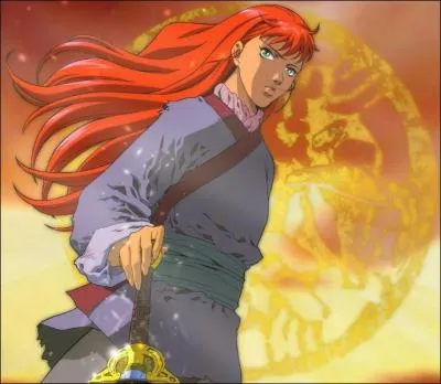 (Les 12 royaumes) De quel genre est ce dessin anim ?