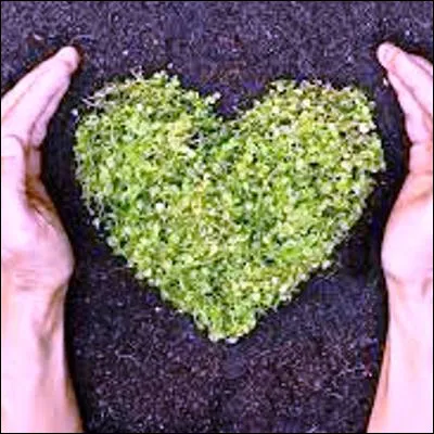 Quel adjectif d&eacute;signe une personne qui agit en respectant la nature ?