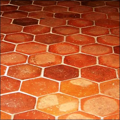 Comment appelle-t-on les carreaux d’argile rouges constituant le revêtement de sol typique des habitations provençales ?