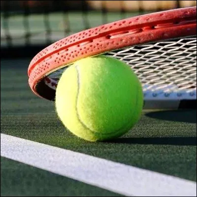 Quel joueur de tennis, vainqueur des Masters 2019, a atteint cette ann&eacute;e sa premi&egrave;re finale du Grand Chelem ?