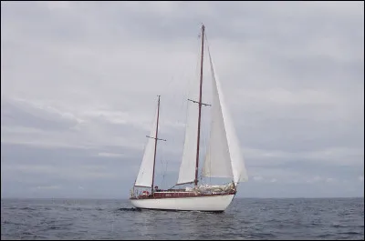 Quelle est la particularit&eacute; du film de 1932, Si j'avais un million ?