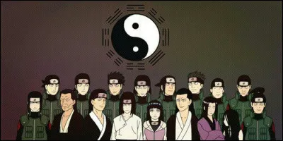 Quelles sont les 2 familles de Hyuga ?