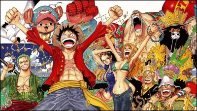 Qui est le seul pirate de One Piece à avoir refusé l'offre de devenir un grand corsaire ?
