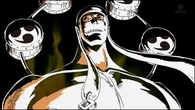 Qui est le premier personnage du manga à utiliser le haki de l'observation ?