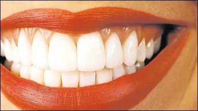 Quelle est ta plus grande qualité ?