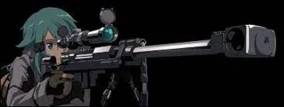 Quelle est l'arme de Sinon ?