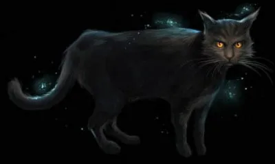 Quelle est la race de chat de Cornelius, Alanis et Maximus, les trois acteurs de Miss Teigne ?