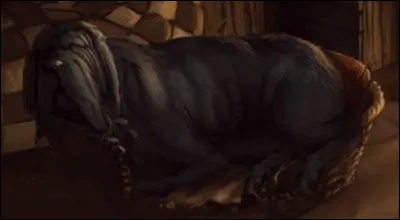 Dans les livres, Crockdur est un dogue allemand. Et dans les films ?