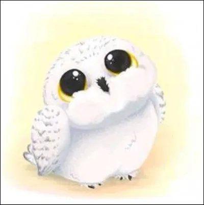 Pourquoi tous les acteurs d'Hedwige sont-ils des mâles ?