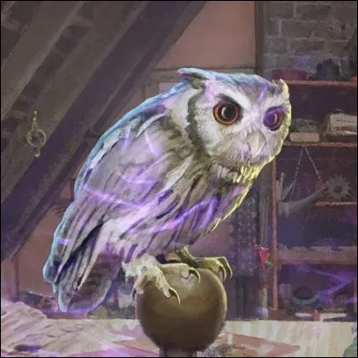 Coquecigrue, dans Harry Potter, est connu pour être...