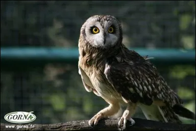 Et c'est pour cela qu'il est incarné à l'écran par...