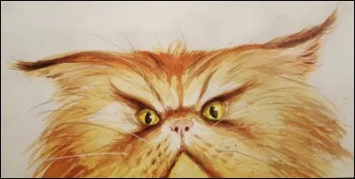 Qui joue le chat Pattenrond ?