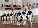 Dans quelle ville peut-on admirer l'cole d'quitation des lipizzans ?