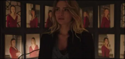 Combien y avait-il de portraits dans la salle secrète de Hugues ?