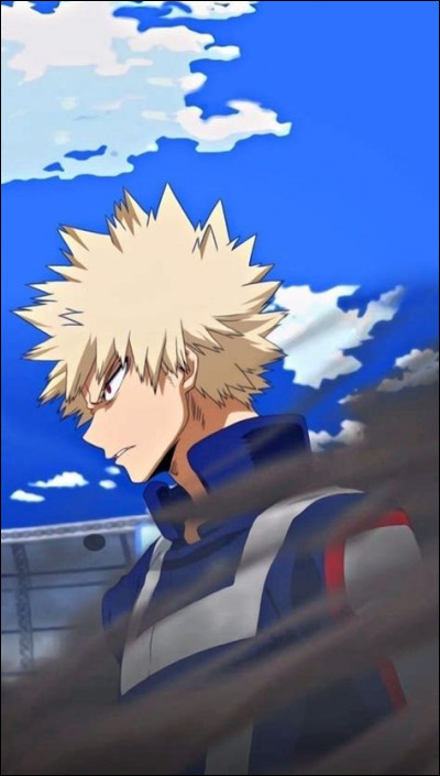 Qu'aime faire le plus Katsuki ?