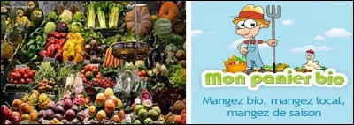 Pour 2014, en France, quelle est la part en pourcentage représentée par la vente de fruits et légumes bio sur le marché européen alimentaire bio ?