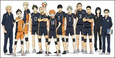 Quel est le nom du lycée d'Hinata ?