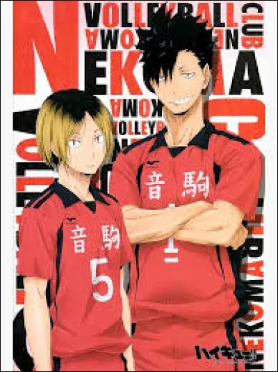 Comment est surnommé le match entre Karasuno et Nekoma ?
