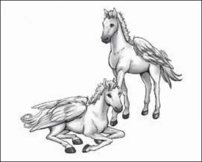 Qui sont Luna et Felix ?