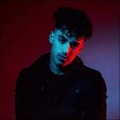 Qui est ce chanteur ?