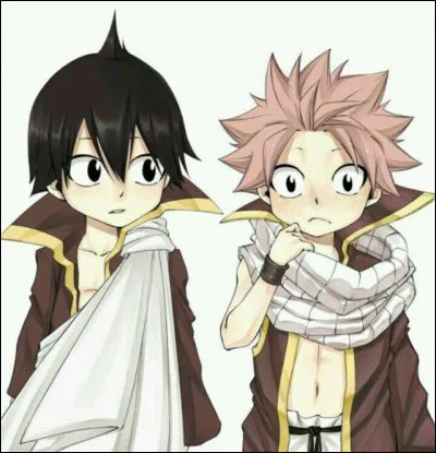J'ai un fr&egrave;re qui s'appelle Eterious Natsu Dragnil, qui suis-je ?