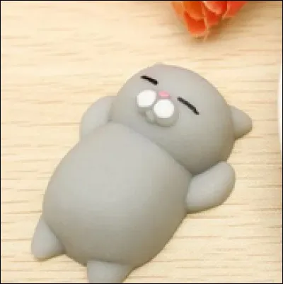 Comment s'appelle ce Fidget Toy ?