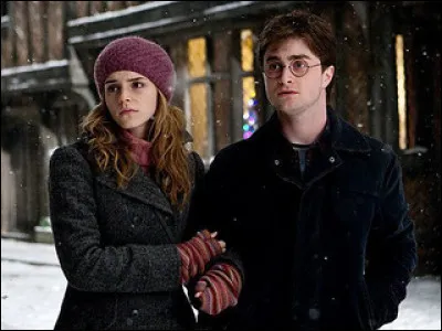 Parmi ces propositions, qu'est-ce qui ne se passe pas lorsque Harry et Hermione sont à Godric's Hollow ?