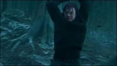 Grâce à quoi Ron détruit-il le médaillon de Salazar Serpentard ?