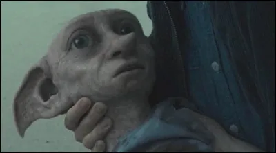 Par quoi Dobby meurt-il ?