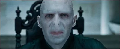 Pourquoi Voldemort veut-il prendre une autre baguette ?