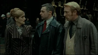 Comment Harry, Ron et Hermione se rendent-ils au ministère de la Magie ?