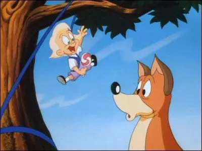 (Les Animaniacs) Comment s'appellent ces deux personnages issus des histoires secondaires des Animaniacs ?