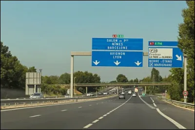 De quelle catégorie font parties les armes collection ?