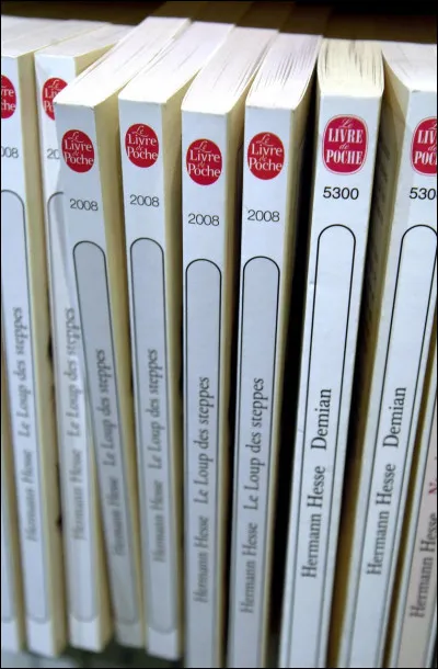 Quel est le métier de Gervaise dans le roman "L'Assommoir" ?