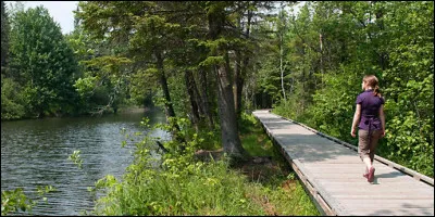Sur combien de kilomètres s'étend le canal du Midi ?