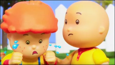 Es-tu un vrai caillou ? Mérites-tu d'être le caillou de la destinée ?