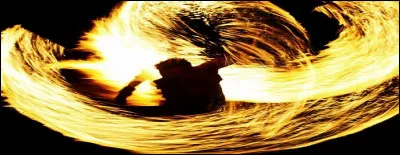 Lequel n'a pas sa place dans la cat&eacute;gorie signes de feu ?