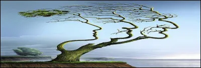 Quel pr&eacute;nom ne vous fera pas grimper dans l'arbre g&eacute;n&eacute;alogique de la dynastie des Ach&eacute;m&eacute;nides ?