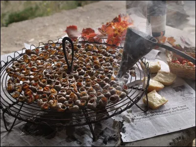 Quel est ce plat typique catalan, constitué d'escargots grillés dans leur coquille ?
