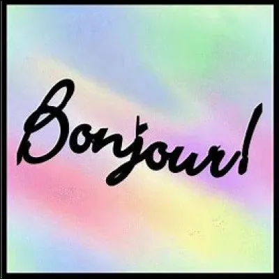 Si tu étais youtubeur/youtubeuse, quelle serait ta phrase d'introduction ?