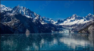 Glacier Bay est le royaume des grizzlis et des caribous. Où est situé cet immense champ de glace ?